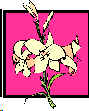 Lillies_Res.jpg (3805 bytes)